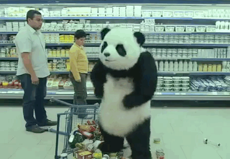 Never Say No To Panda