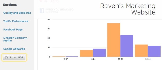 export a raven marketing report to pdf