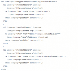 Code in microdata format