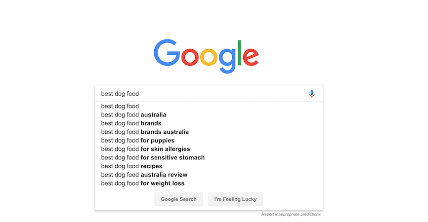 Google Search Auto Suggestions
