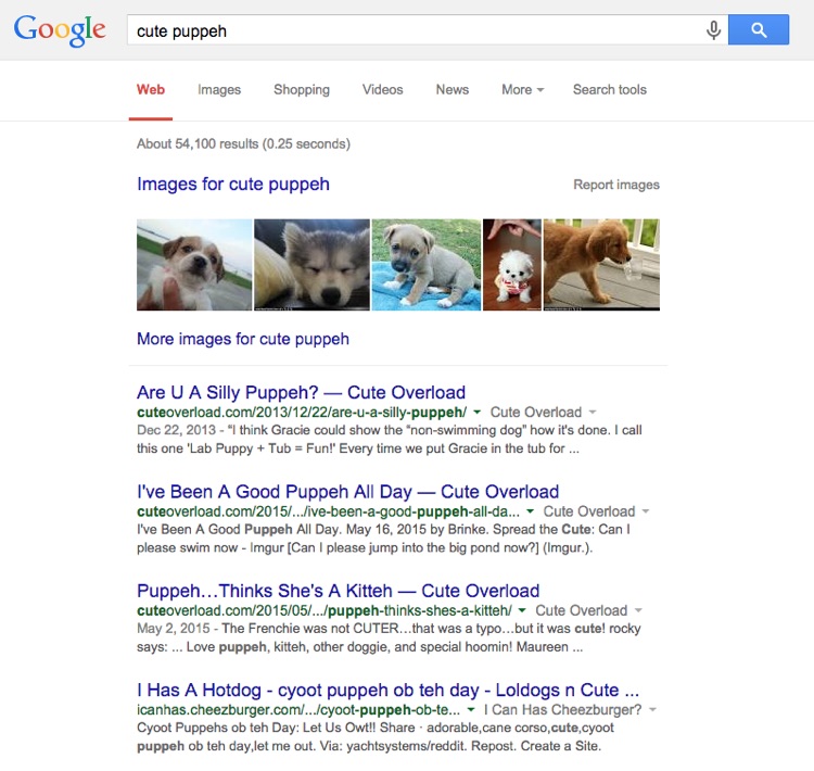 search results for cute puppeh