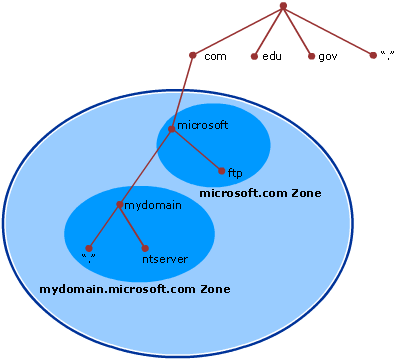 your root domain