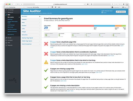 Raven's Site Auditor